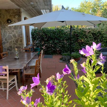 Antica Fornace Bed & Breakfast Bucine Dış mekan fotoğraf