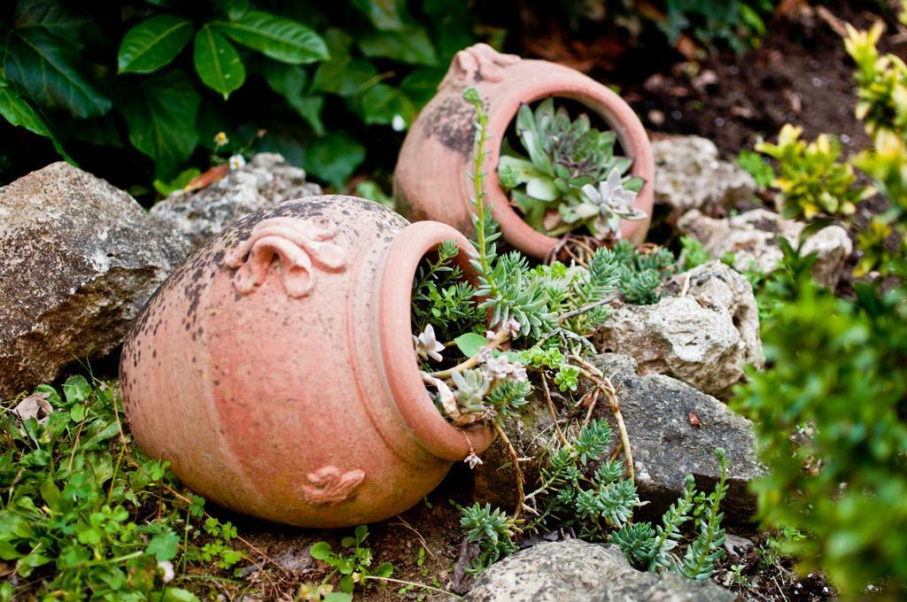 Antica Fornace Bed & Breakfast Bucine Dış mekan fotoğraf