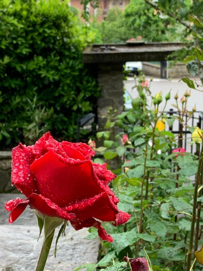 Antica Fornace Bed & Breakfast Bucine Dış mekan fotoğraf