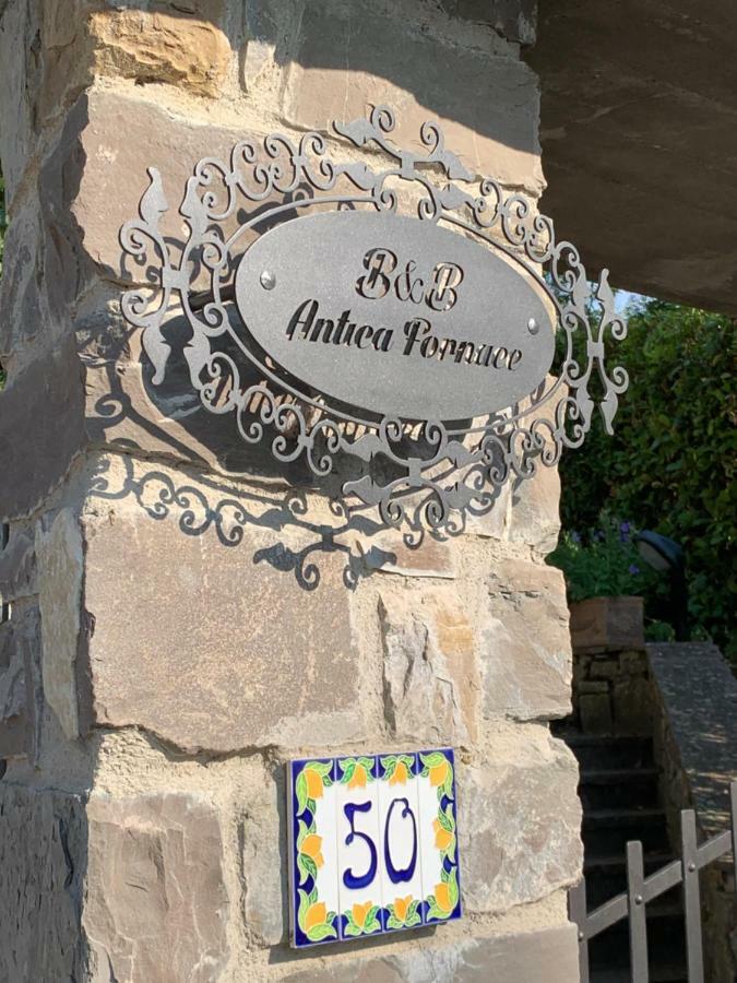 Antica Fornace Bed & Breakfast Bucine Dış mekan fotoğraf